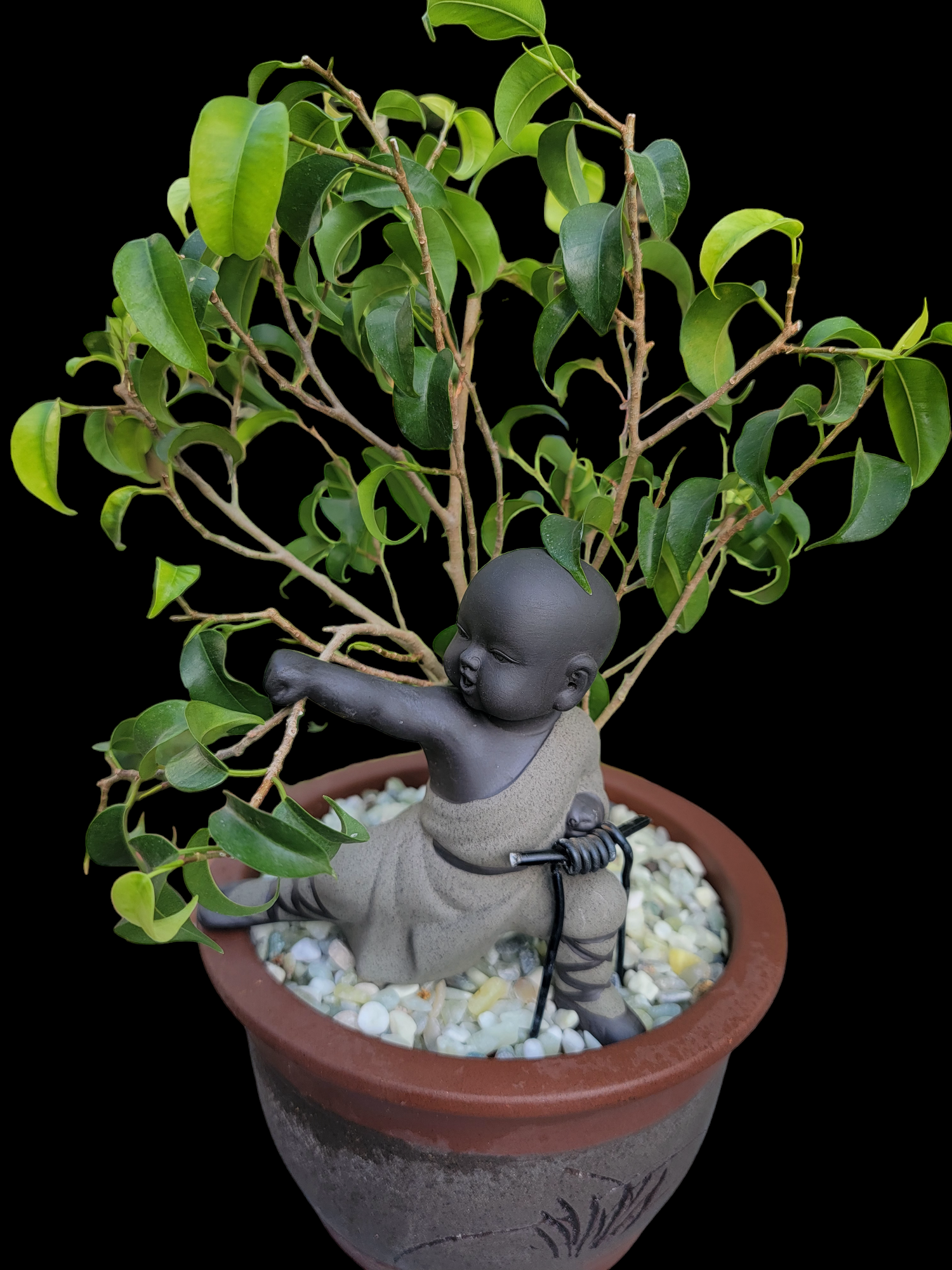 bonsai tree buddha Baby Buddha Bonsai #50