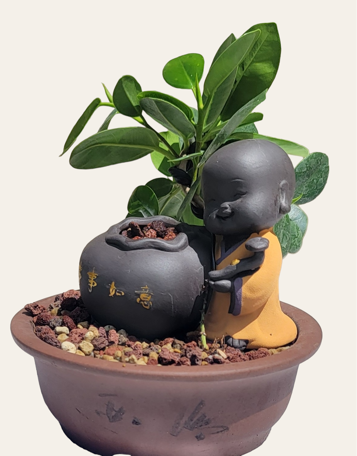 buddha and bonsai vol 3 Baby Buddha Bonsai #49 – My O My Bonsai