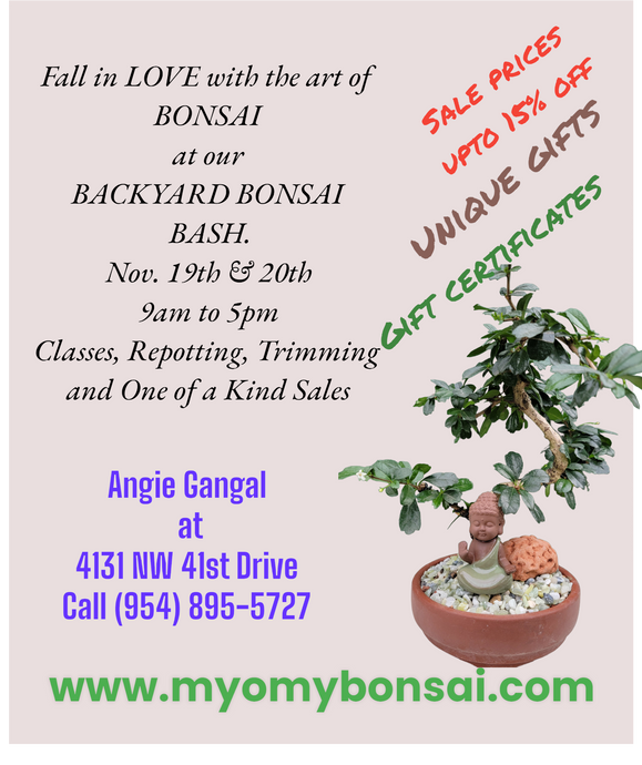 Fall in LOVE with Bonsai