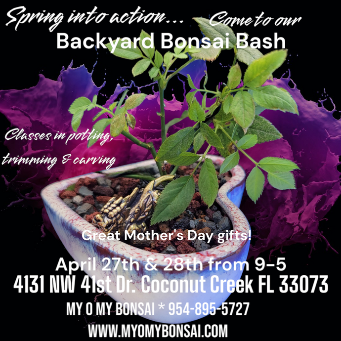 Spring 2024 Backyard Bonsai Bash
