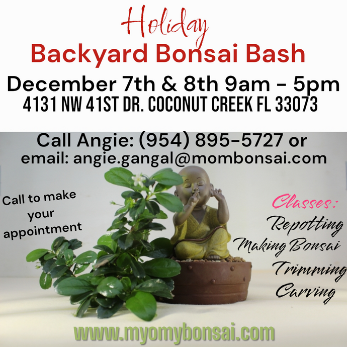 Holiday Backyard Bonsai Bash